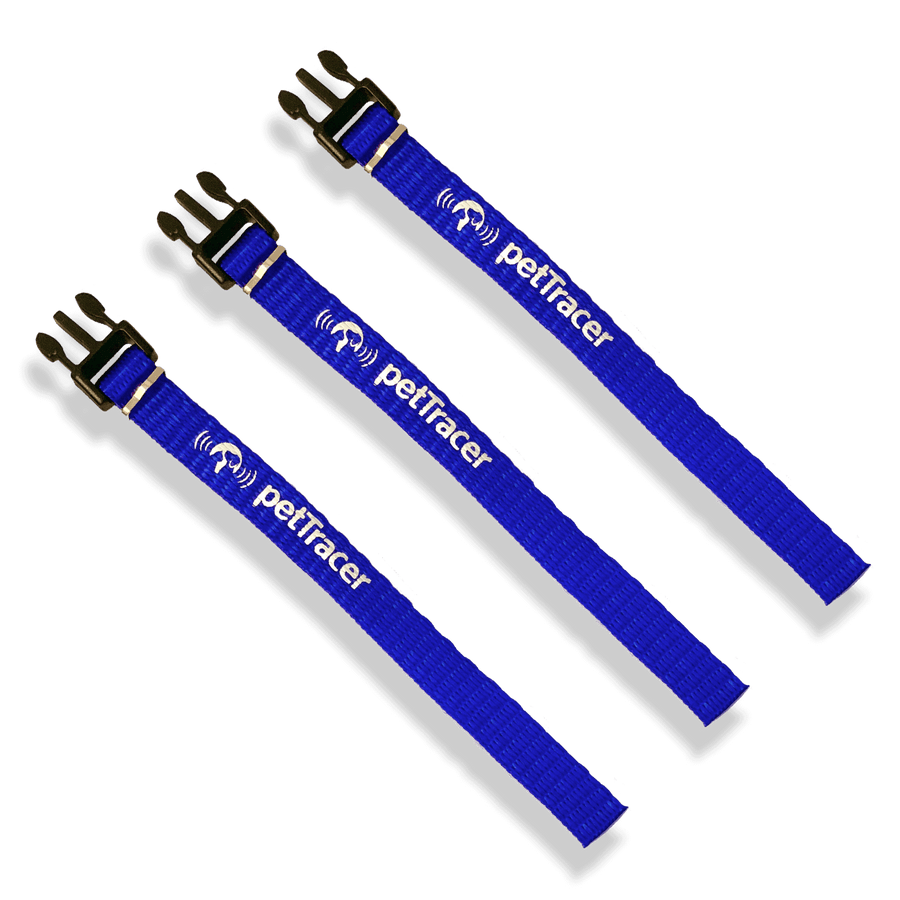 Safety Release Bands